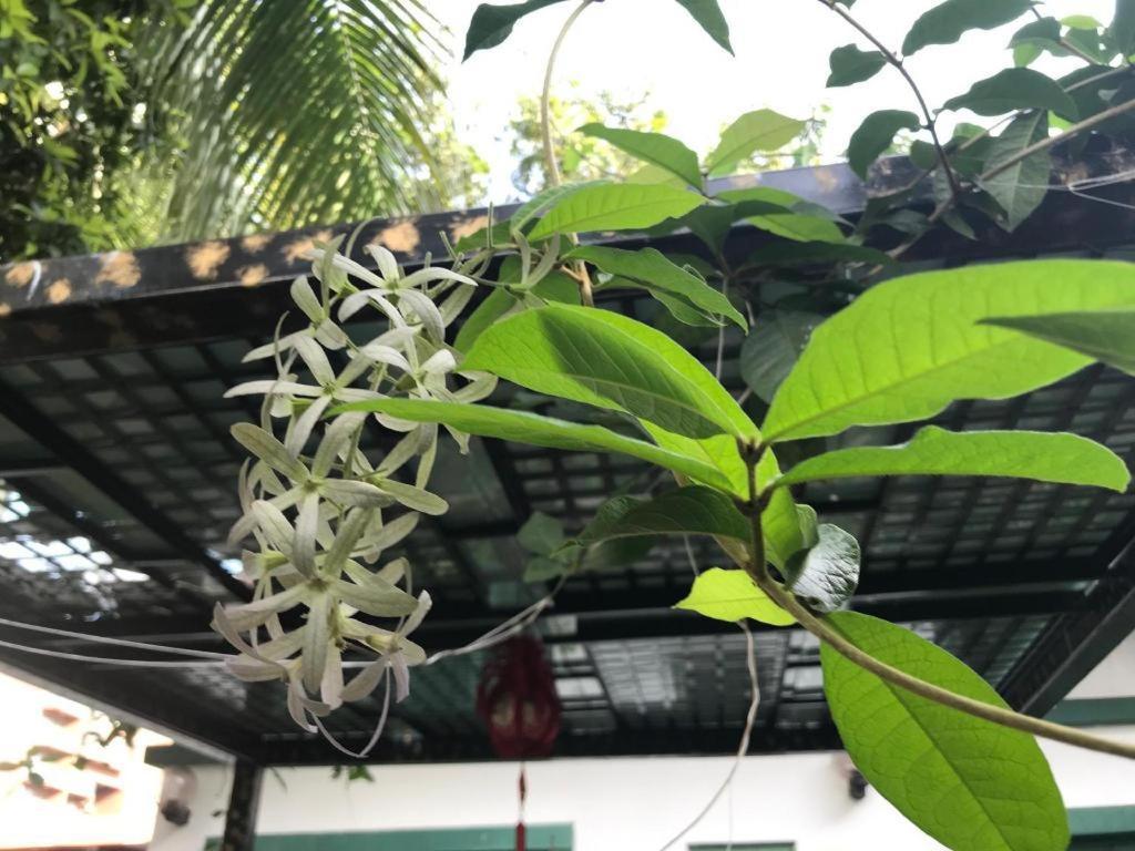 Lai Ming Hotel Cosmoland Singapore Bagian luar foto